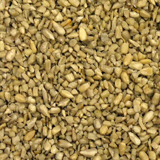Picture of Natures Select Ingredients 001527 25 lbs Medium Sunflower Meats for Wild Bird Feed