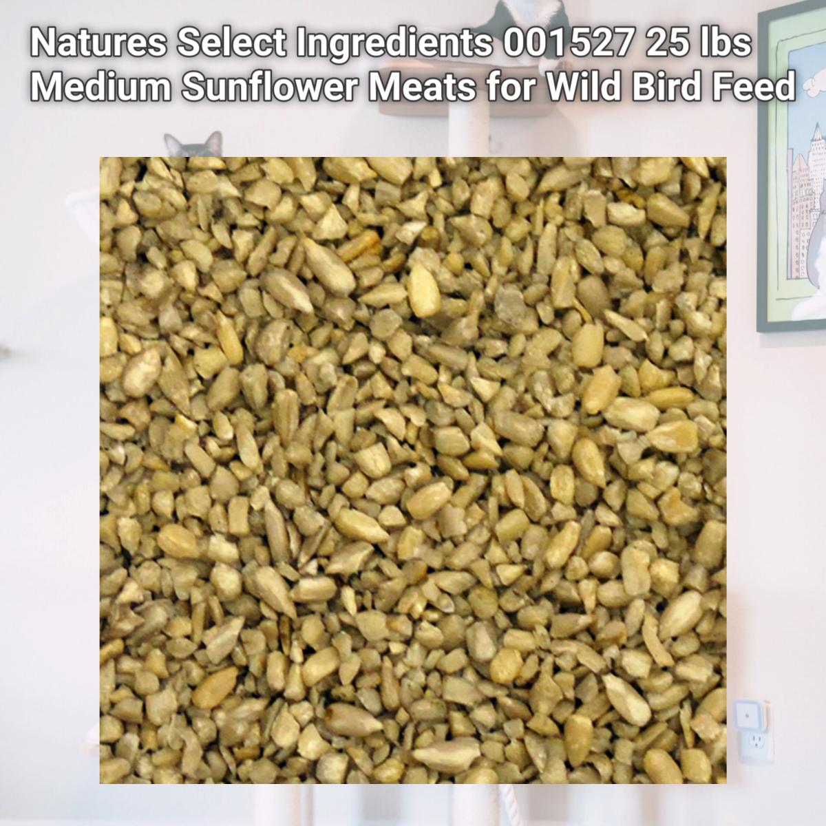 Picture of Natures Select Ingredients 001527 25 lbs Medium Sunflower Meats for Wild Bird Feed