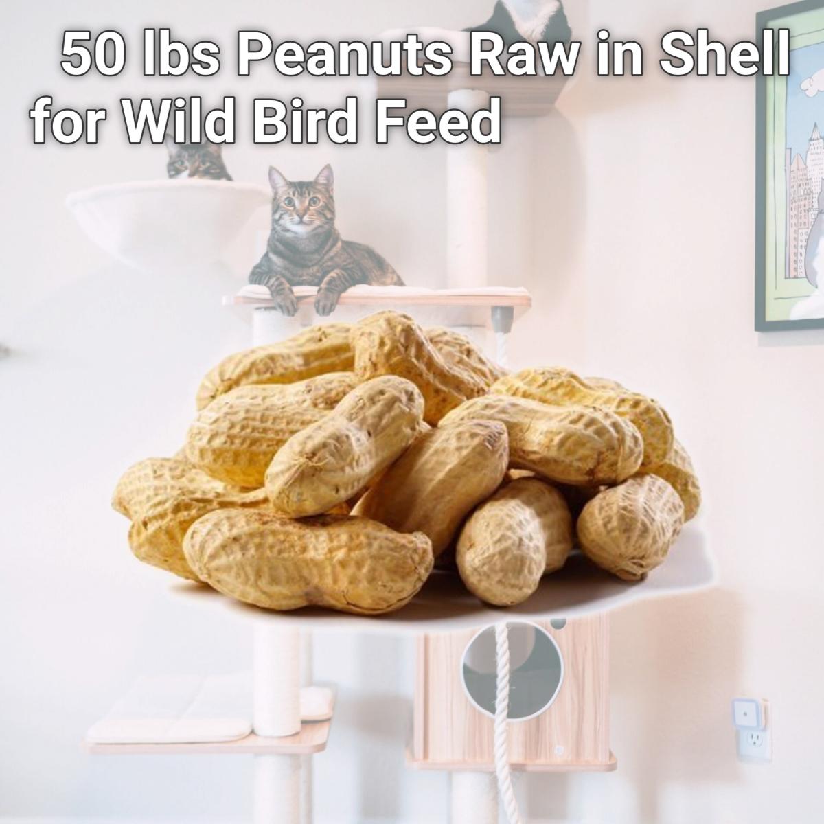 Picture of Natures Select Ingredients 080900 50 lbs Peanuts Raw in Shell for Wild Bird Feed
