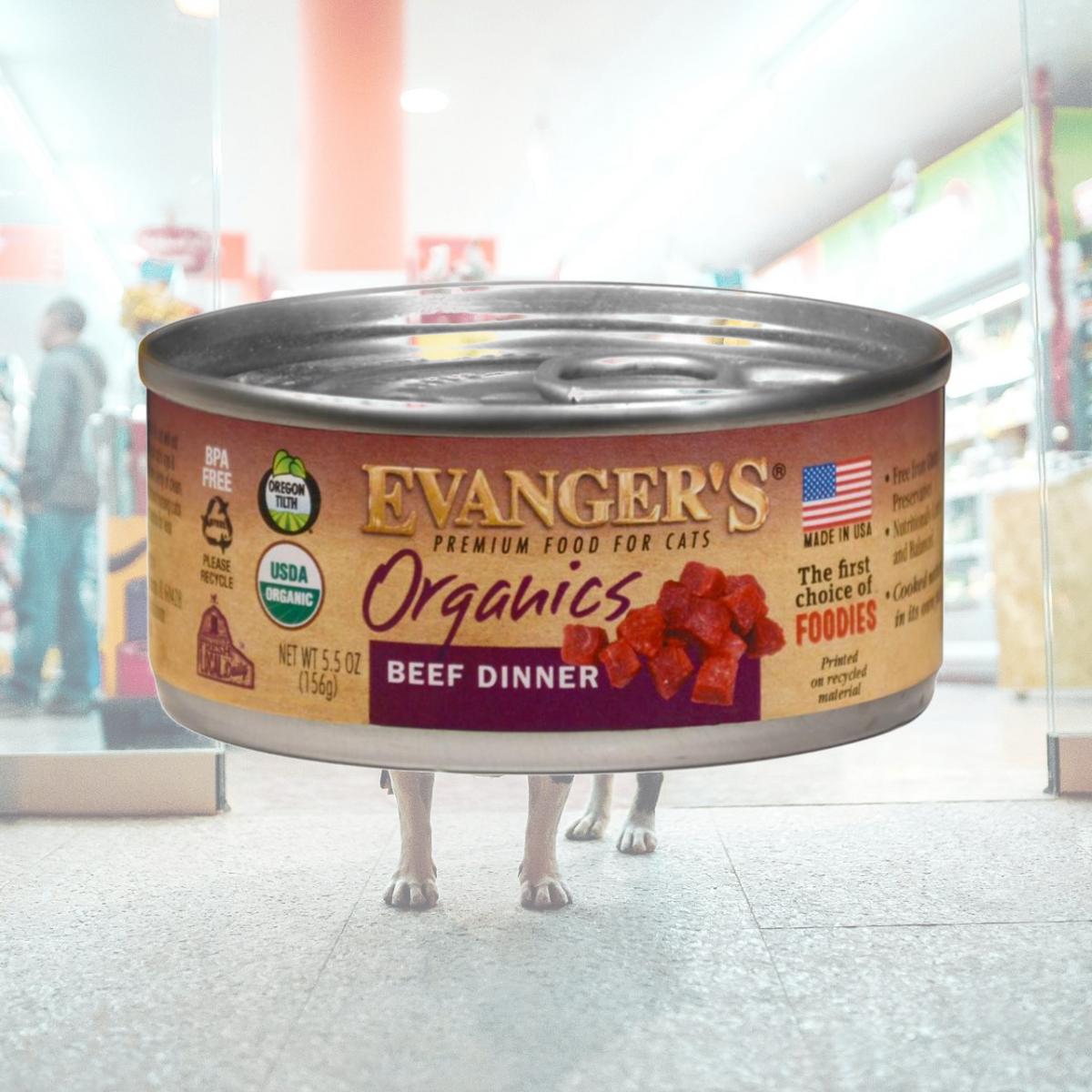 Picture of Evangers Pet Food 884170 5.5 oz Organics Beef Dinner for Cats - Pack of 24