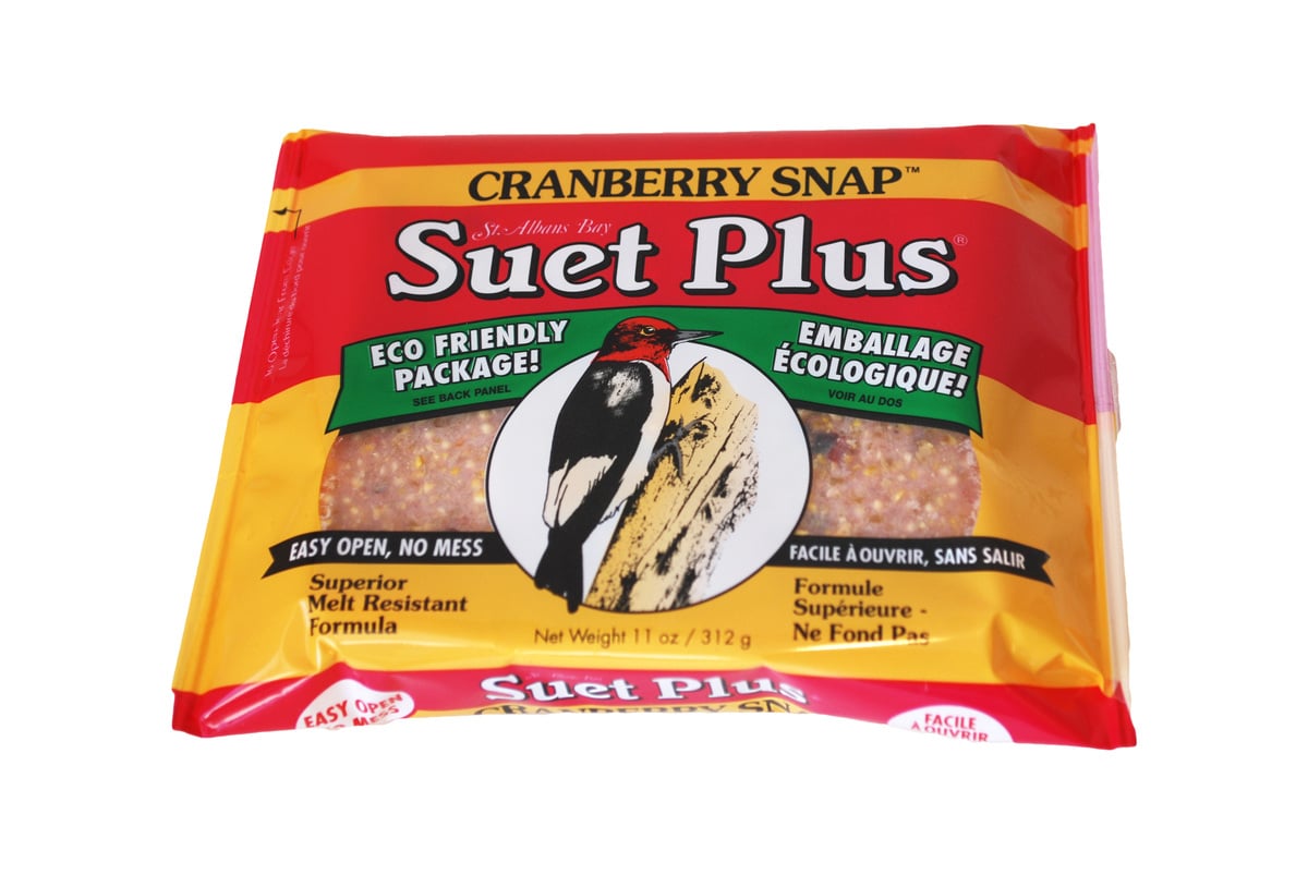 Picture of Wildlife 313875 11 oz Cranberry Snap Sciences Suet Plus Cake