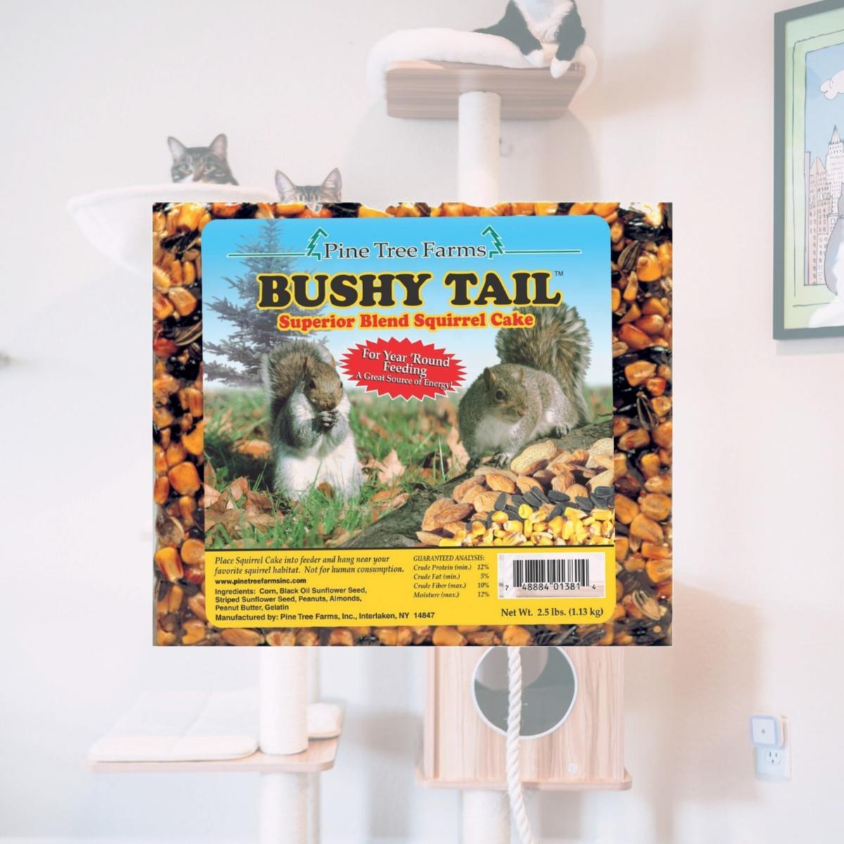 Picture of Pine Tree Farms 601381 MP8 2 lbs Bushy Tail Squirrel Cake - Pack of 8