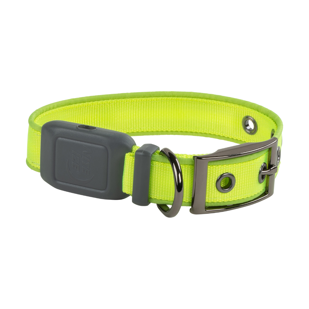 Picture of Nite Ize NIT-NDCRS-17-R3 Night Dog Rechargeable LED Collar, Lime Green - Small