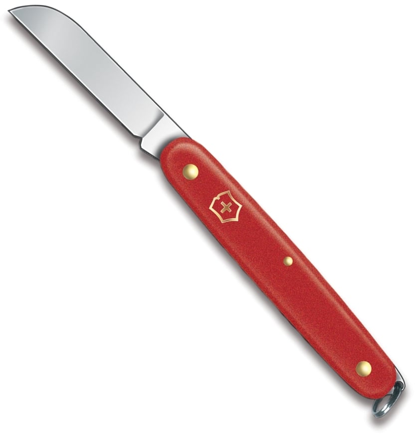 VIC-3.9051 4 in. 2025 Victorinox Twine Folding Blade Red Handle Kitchen Knife with Key Ring -  Pro-Cut