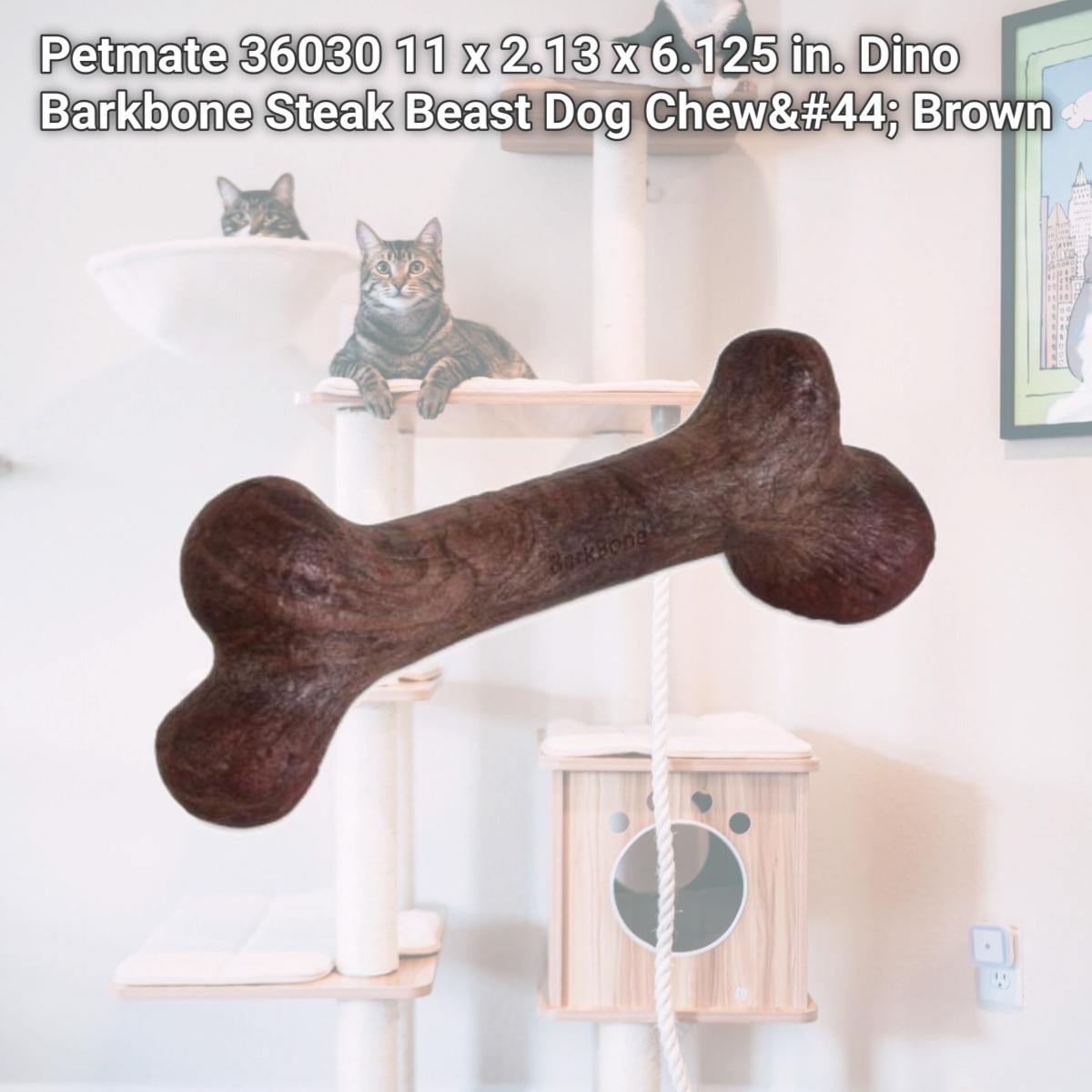 Picture of Petmate 36030 11 x 2.13 x 6.125 in. Dino Barkbone Steak Beast Dog Chew&#44; Brown