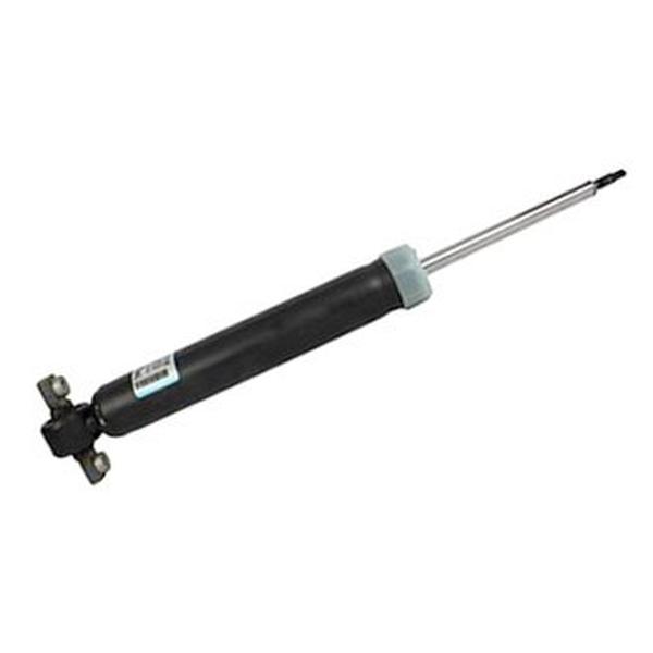 ASH24698 Shocks Absorber & Struts for 2015-2018 Ford Edge