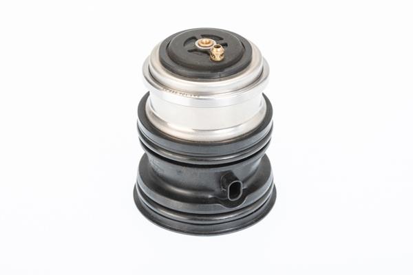 410448.107D OEM Thermostat with Seal