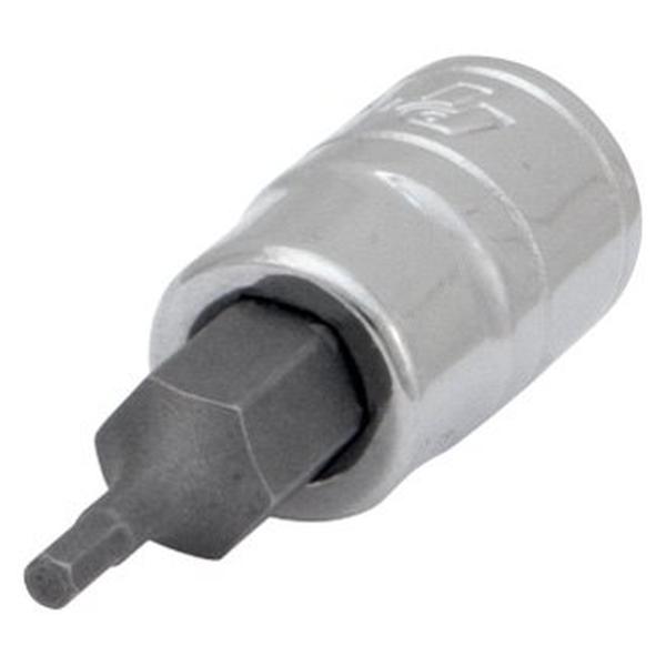 W36902 0.25 in. x 2 mm Hex Bit Socket