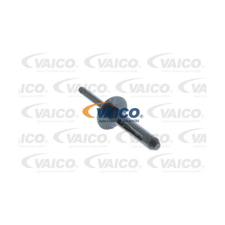 V20-1881 Vehicle Expanding Rivet