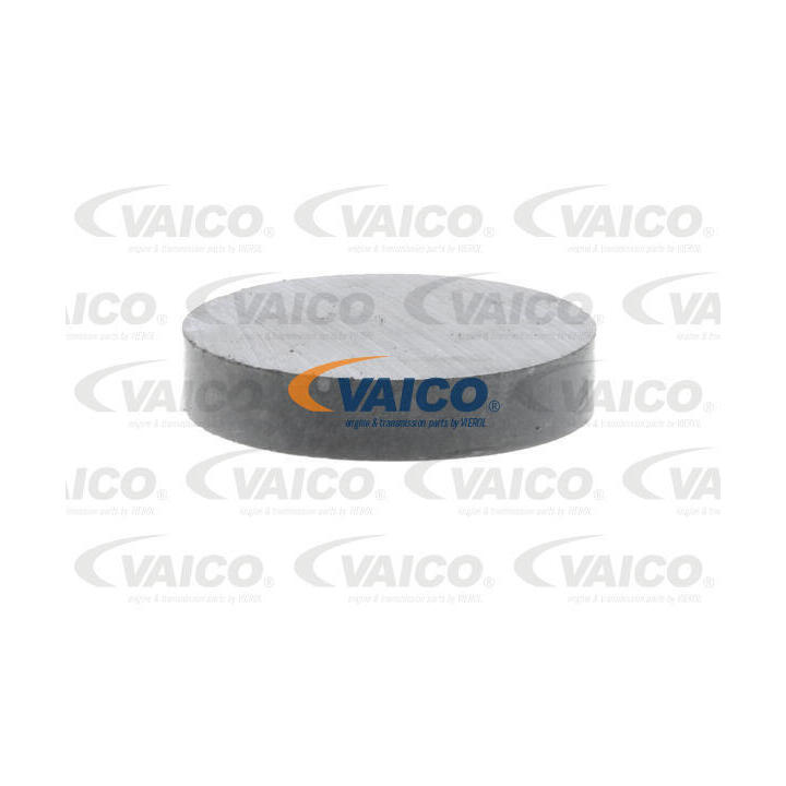 V30-2338 Automatic Transmission Oil Sump Magnet