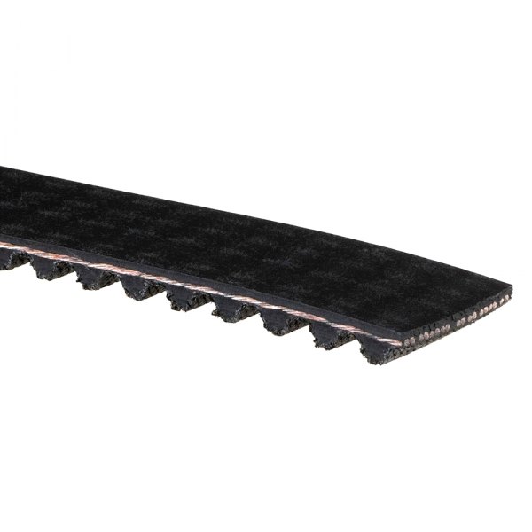 T305 Engine Timing Belt for 1998-2003 Isuzu Rodeo