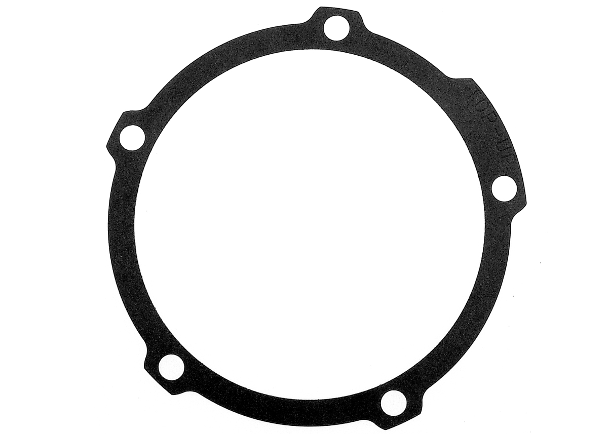 251-2018 GM Original Equipment Engine Water Pump Gaskets for 2006-2007 Saturn Relay, Box of 10 -  Acdelco