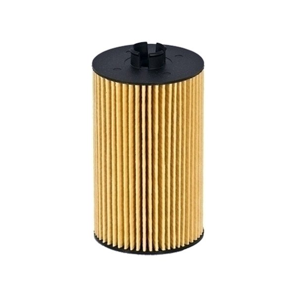 FL2029 Oil Filter for 2006-2009 Ford L-Series