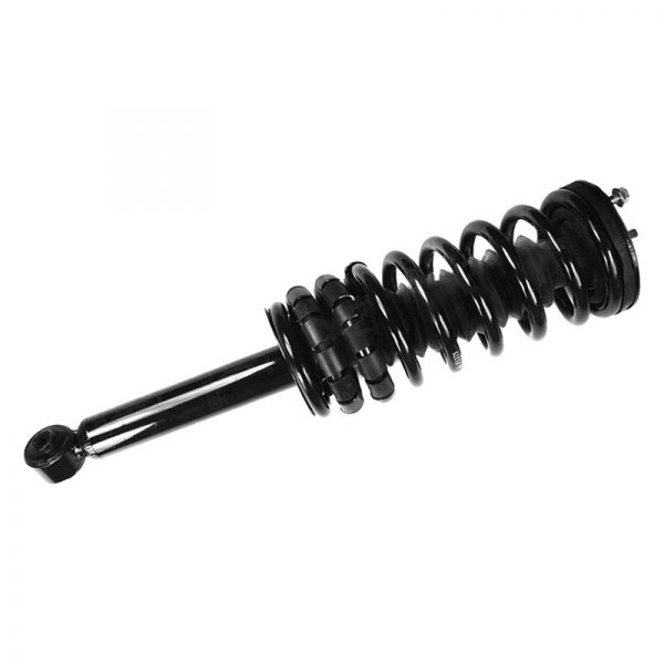 1336316 Rear Quick-Strut Assembly for 1995-1999 Nissan Maxima