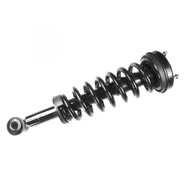 1336331 Front Quick-Strut Assembly for 2004-2008 Ford F150