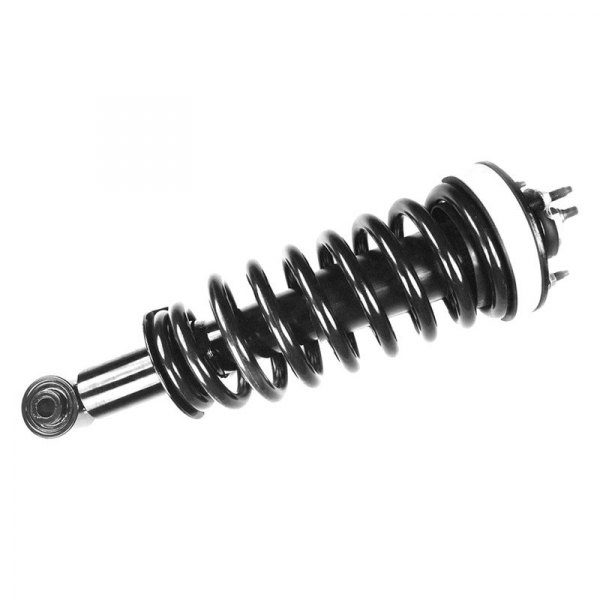 1336343 Front Quick-Strut Assembly for 2003-2011 Lincoln Town Car
