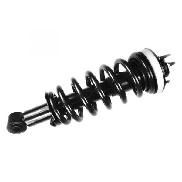 1336349 Front Quick-Strut Assembly for 2003-2011 Ford Crown Victoria