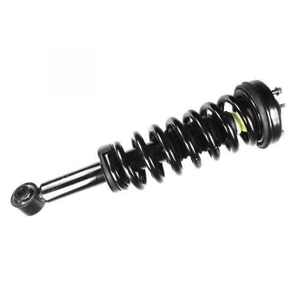 1345563 Front Quick-Strut Assembly for 2009-2013 Ford F150