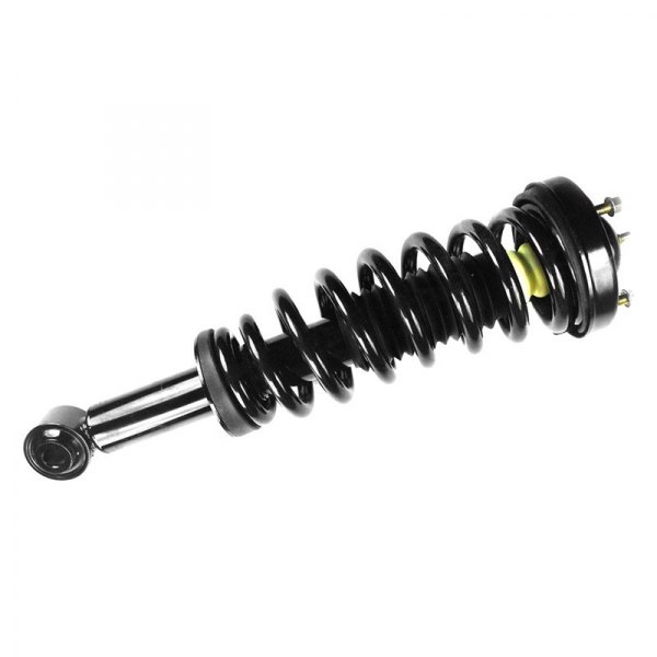 1345562 Front Quick-Strut Assembly for 2009-2013 Ford F150