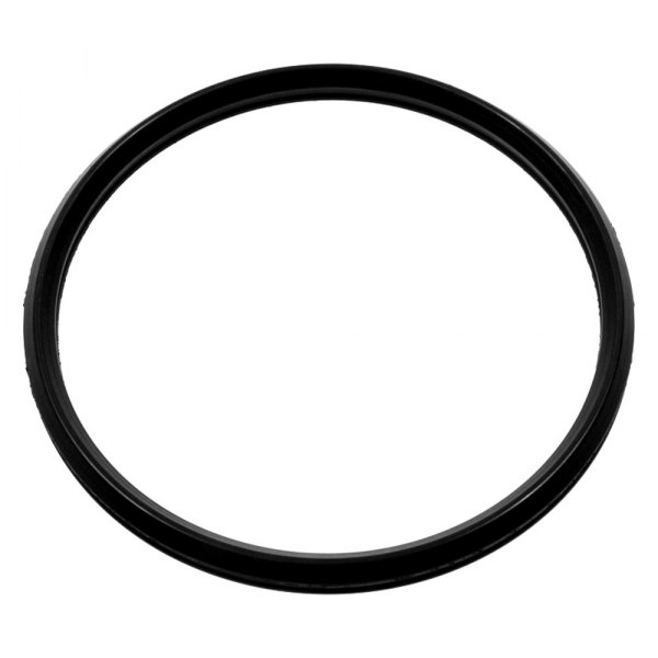 FJG147 Fuel Injector Gasket for 2006-2007 Buick Rendezvous