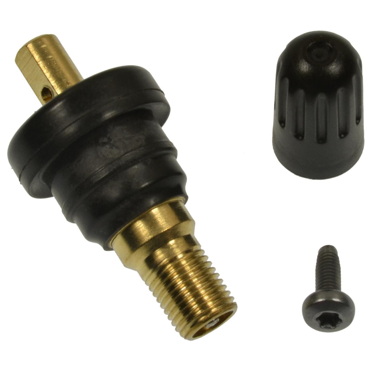 TPM2101VK4 OE Design TPMS Valve Kit
