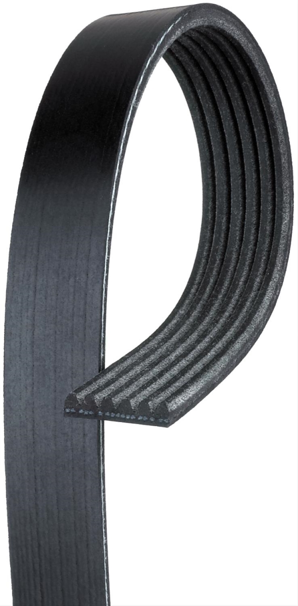 6K563 V-Ribbed Serpentine Belts for 2006-2010 BMW M6