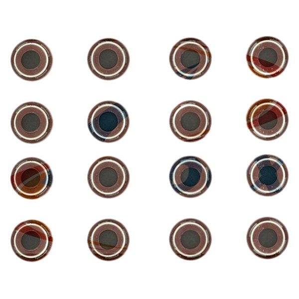 AVS1017 Engine Valve Stem Oil Seal Set for 1997-2001 Honda CRV