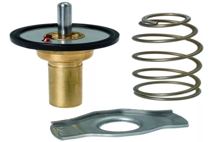 7.8774 Engine Coolant Thermostat for 2015 Smart Fortwo