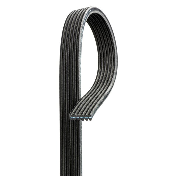Premium V-Ribbed Belt - Black - Compatible with 2011-2015 VW Jetta - High Quality
