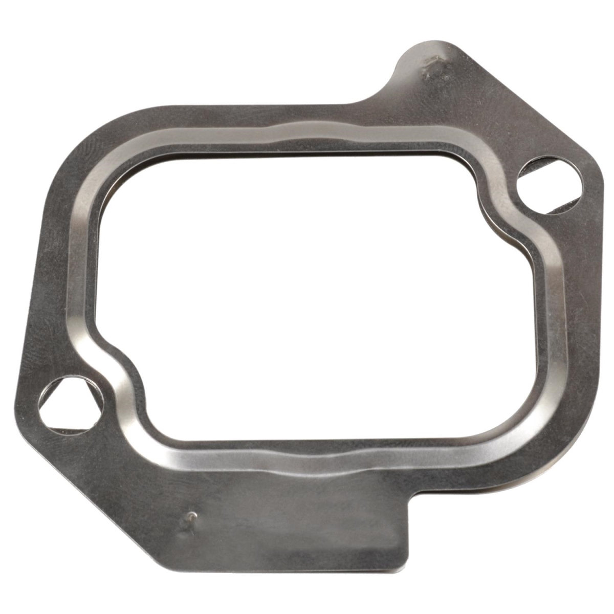 VG241 Exhaust Gas Recirculation Valve Gasket