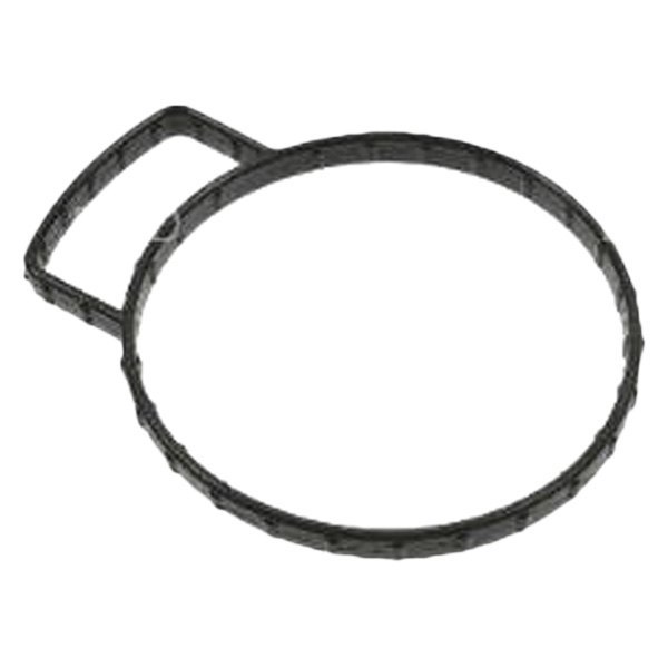 FJG167 Fuel Injection Gasket for 2001-2004 Ford Explorer