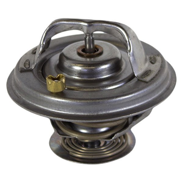 RT1154 Thermostat Assembly for 2000-2002, 2004-2006 Lincoln LS