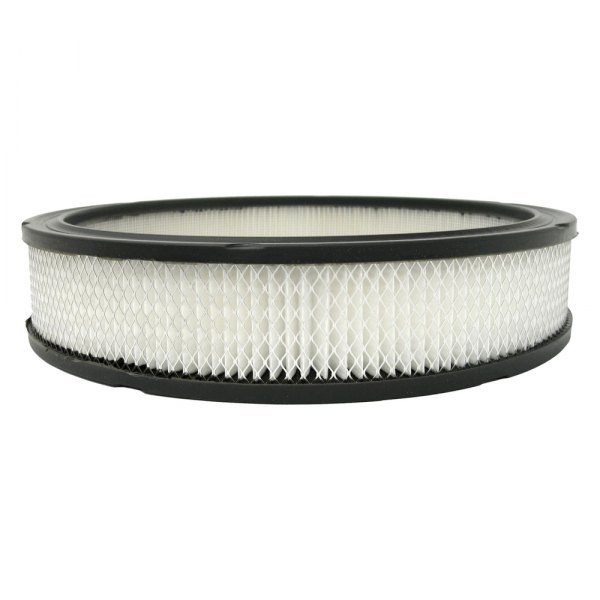 Picture of AC Delco A332C AC Air Filter Element for 1968-1979 Cadillac DeVille