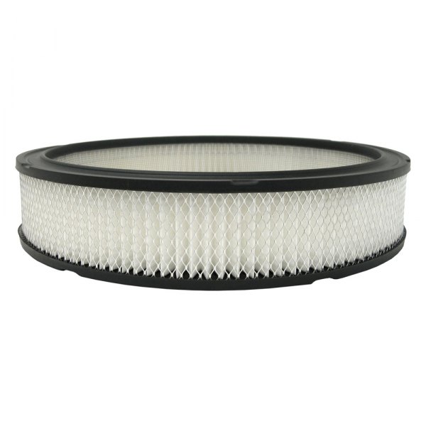 Picture of AC Delco A355C Air Filter Element for 1975-1979, 1984-1987 Ford F150