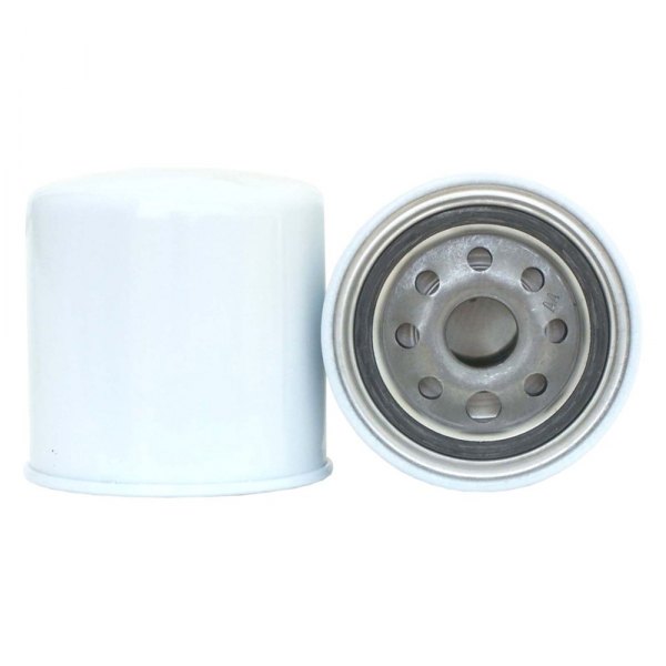 TP1119 Fuel Filter for 1981 Nissan 720
