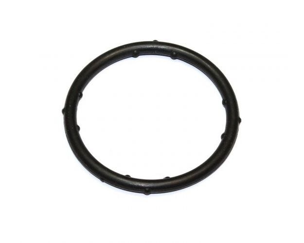 828.963 Engine Coolant Pipe Gasket for 2003-2007 Seat Alhambra