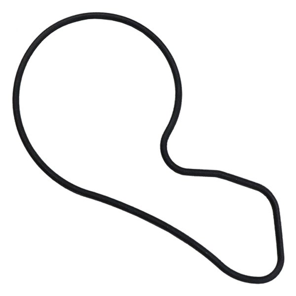 039-4189 Water Pump Gaskets for 2013-2015 Acura ILX Subbase