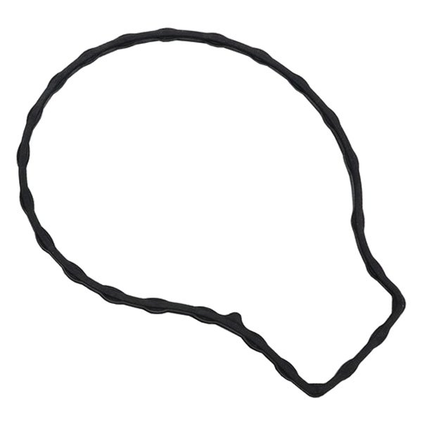 039-4191 Water Pump Gaskets for 2008-2014 Scion XD Subbase