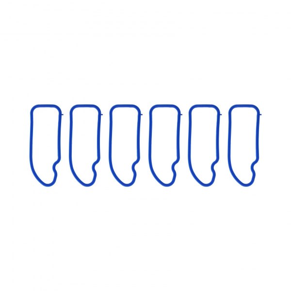 MS97523 Intake Manifold Gasket Set for 2011 BMW 1 Series M