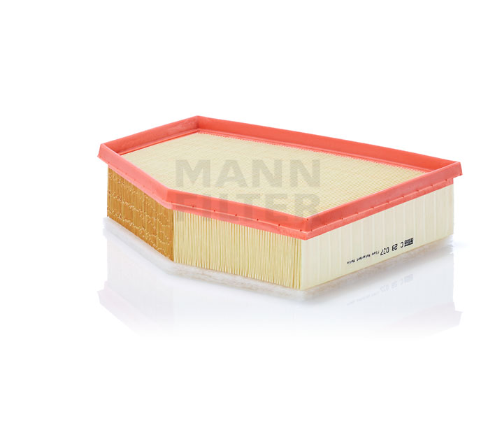 Air Filter 17-21 Bm Various N55B,C28037