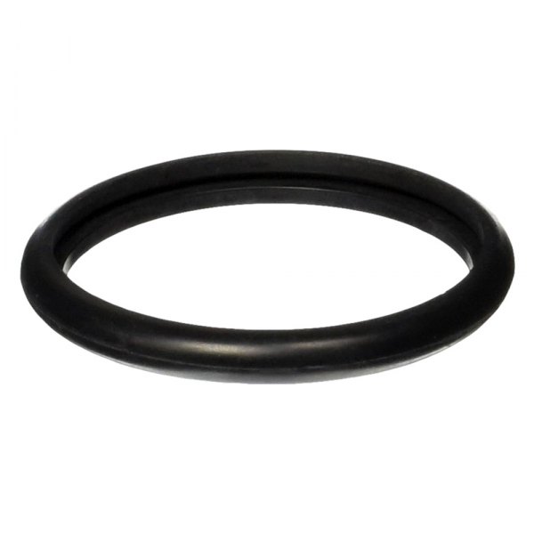 RG633 Rubber Ring for 1998-2003 Ford Escort