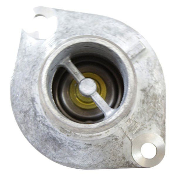 RT1169 Thermostat Assembly for 2003-2007 Ford F250 Super Duty