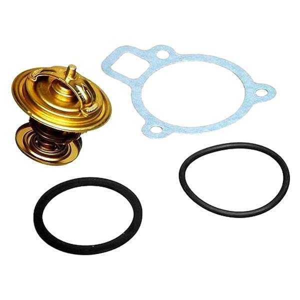 4256.87D Replacement Thermostat Assembly