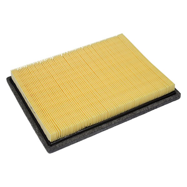 FA1754 Filter Element for 2004-2008 Ford F150