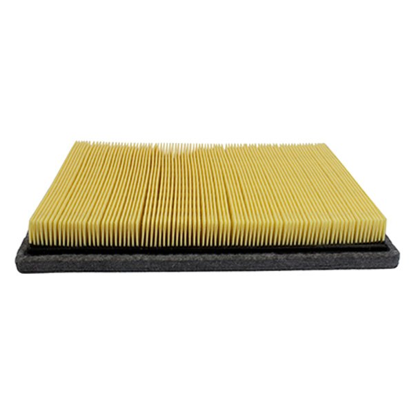 FA1754B6 Air Filter for 2004-2008 Ford F150, Box of 6