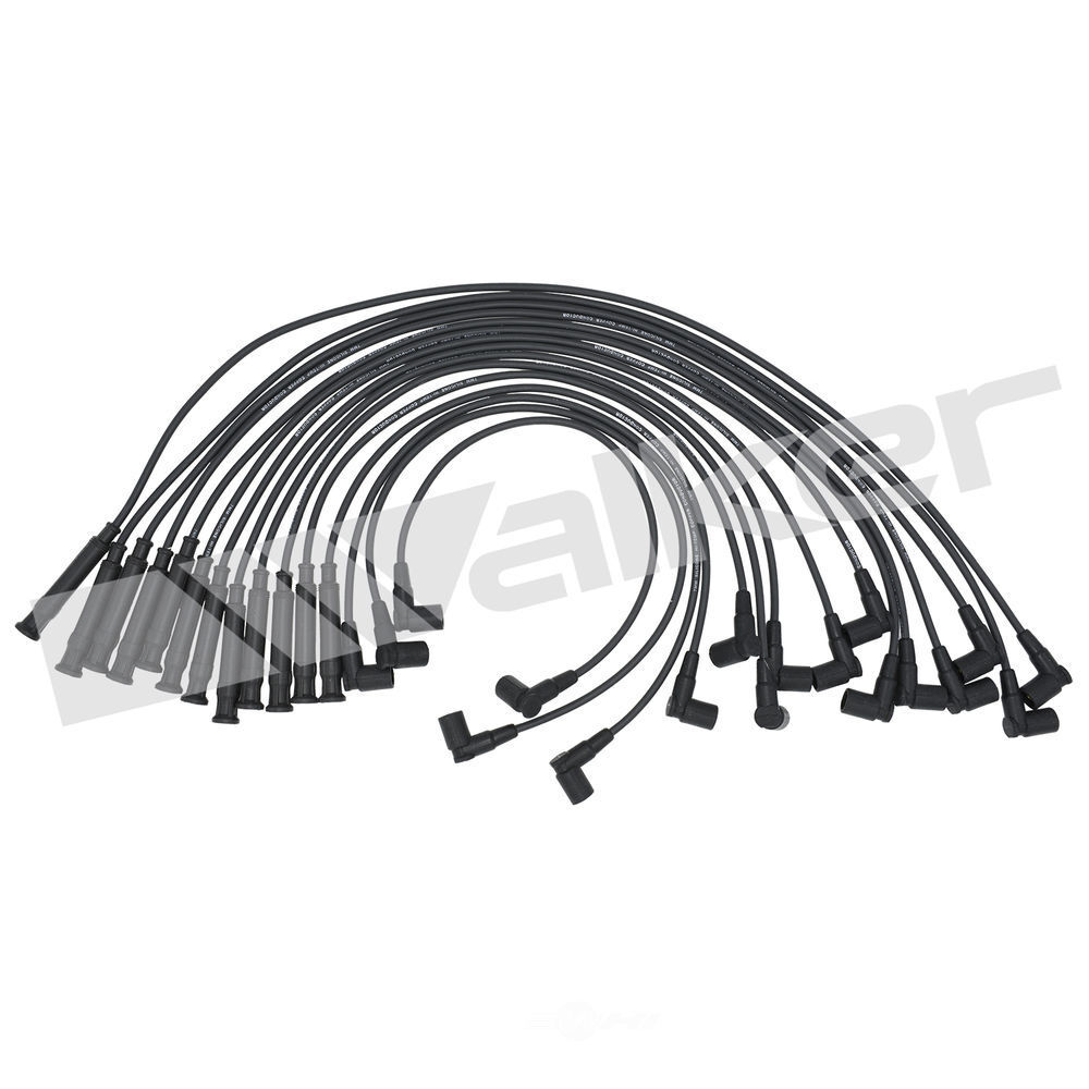 924-1485 Spark Plug Wire Set for 1995-2001 BMW 750iL 5.4L V12