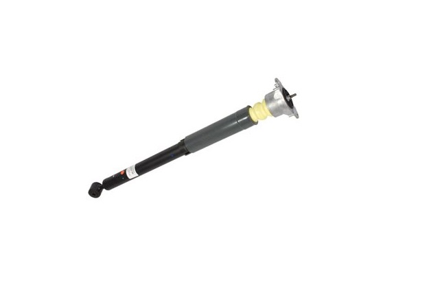 ASH24552 Shock Absorber for 2014 Ford Fiesta