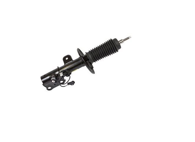 AST18204 Suspension Strut for 2013-2016 Lincoln MKS