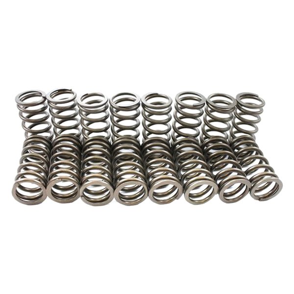 S-1055 Inner Valve Spring Kit