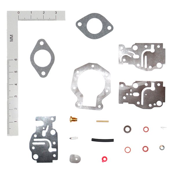 169010V Marine Carburetor Kit